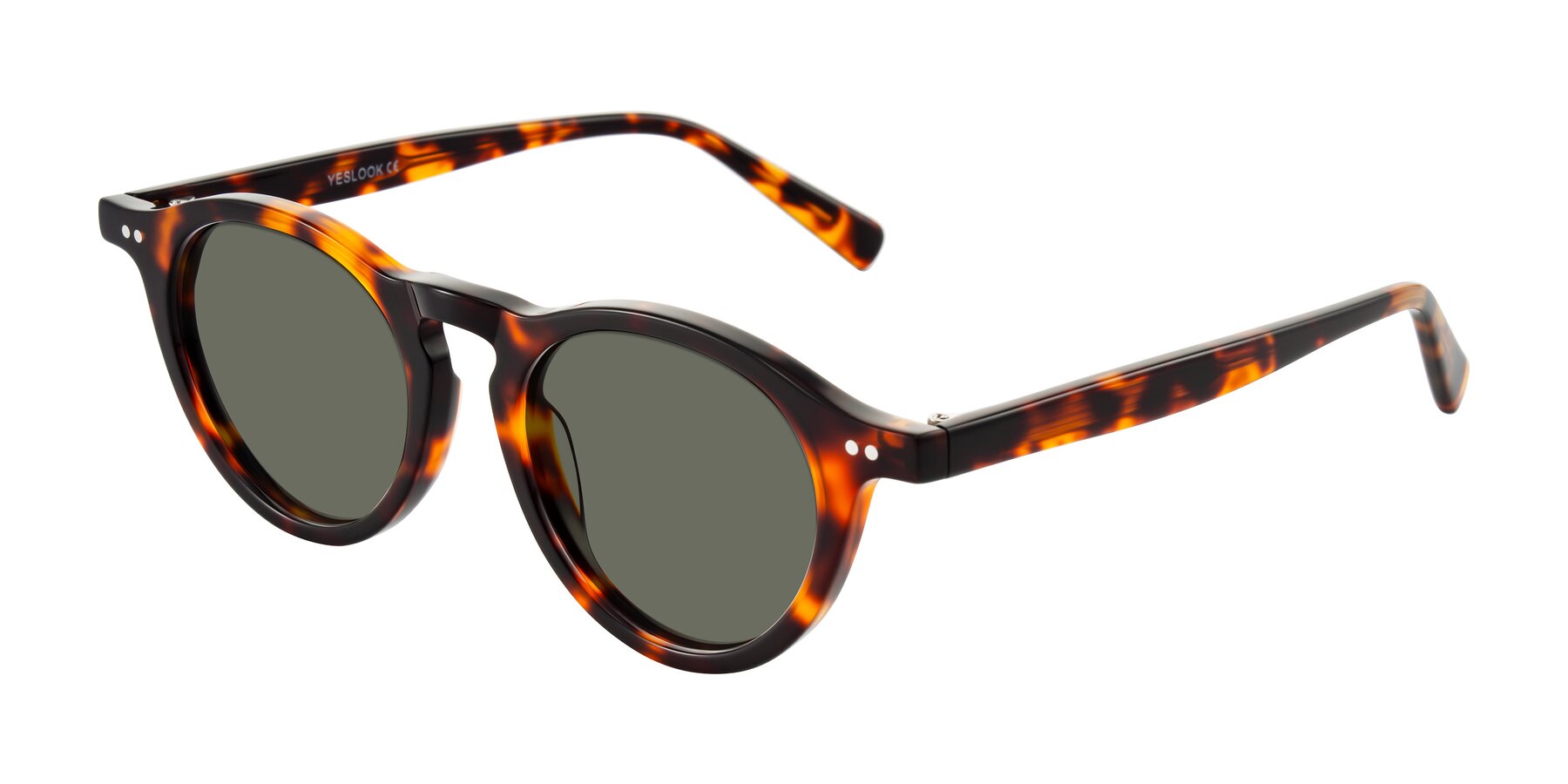 Angle of Herzog in Tortoise with Gray Polarized Lenses