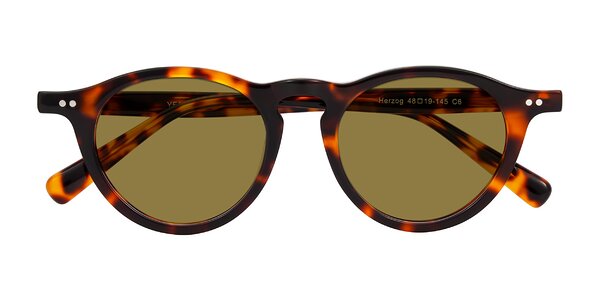 Front of Herzog in Tortoise