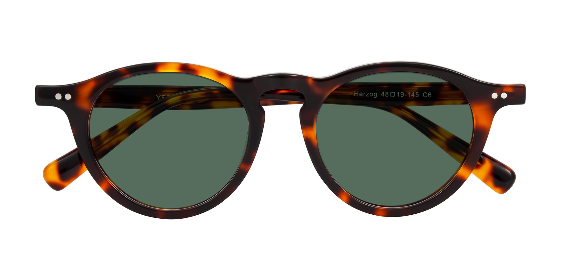 Folded Front of Herzog in Tortoise with Green Polarized Lenses
