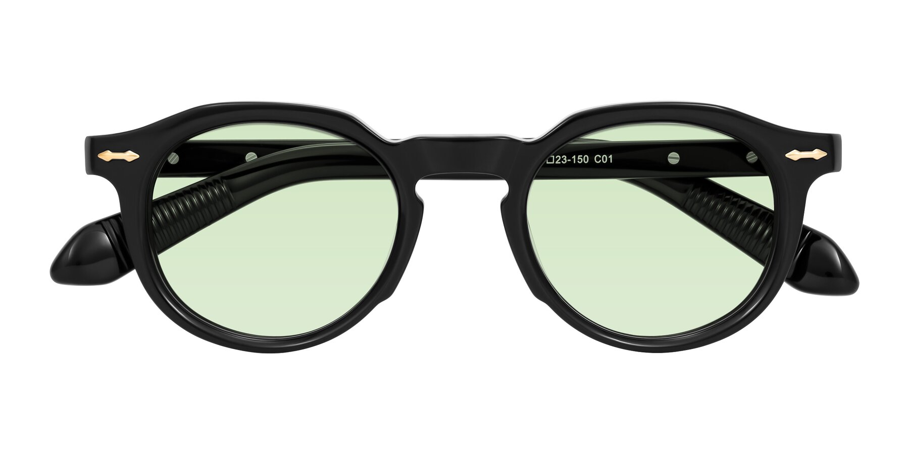 Folded Front of Lachard in Black with Light Green Tinted Lenses