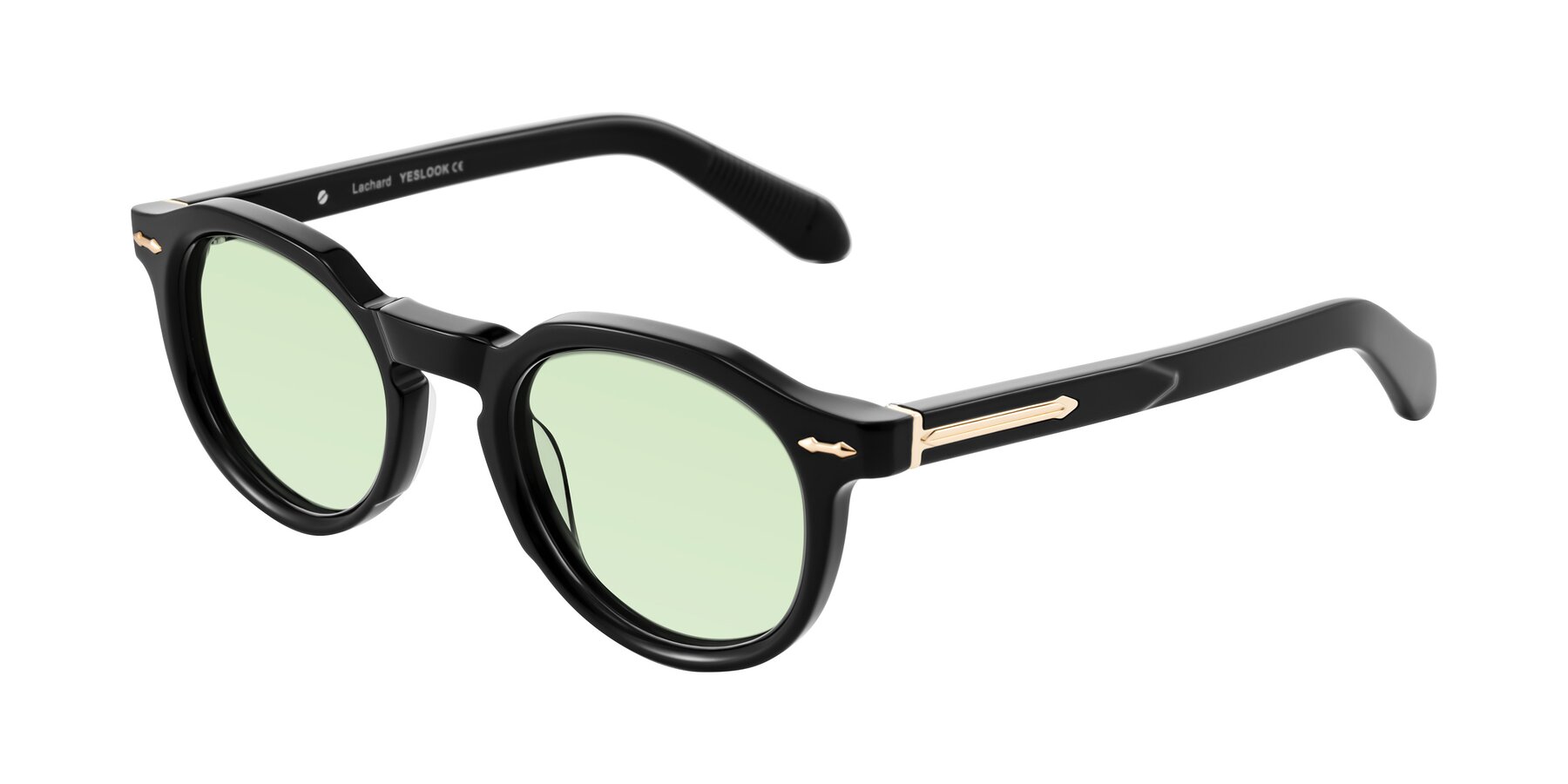 Angle of Lachard in Black with Light Green Tinted Lenses