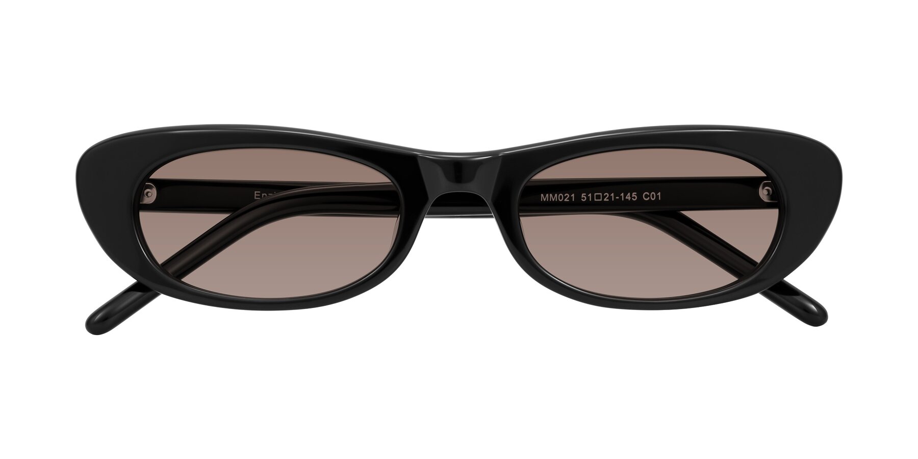 Folded Front of Enzio in Black with Medium Brown Tinted Lenses