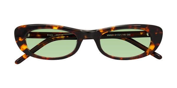 Front of Enzio in Tortoise