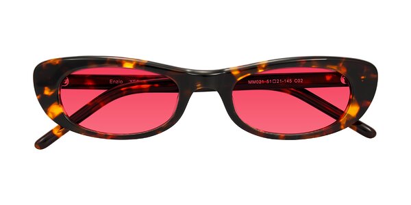 Front of Enzio in Tortoise