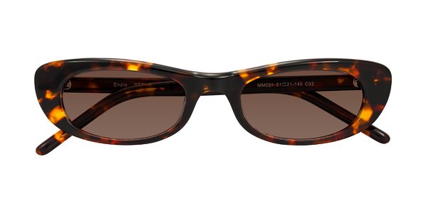 Front of Enzio in Tortoise