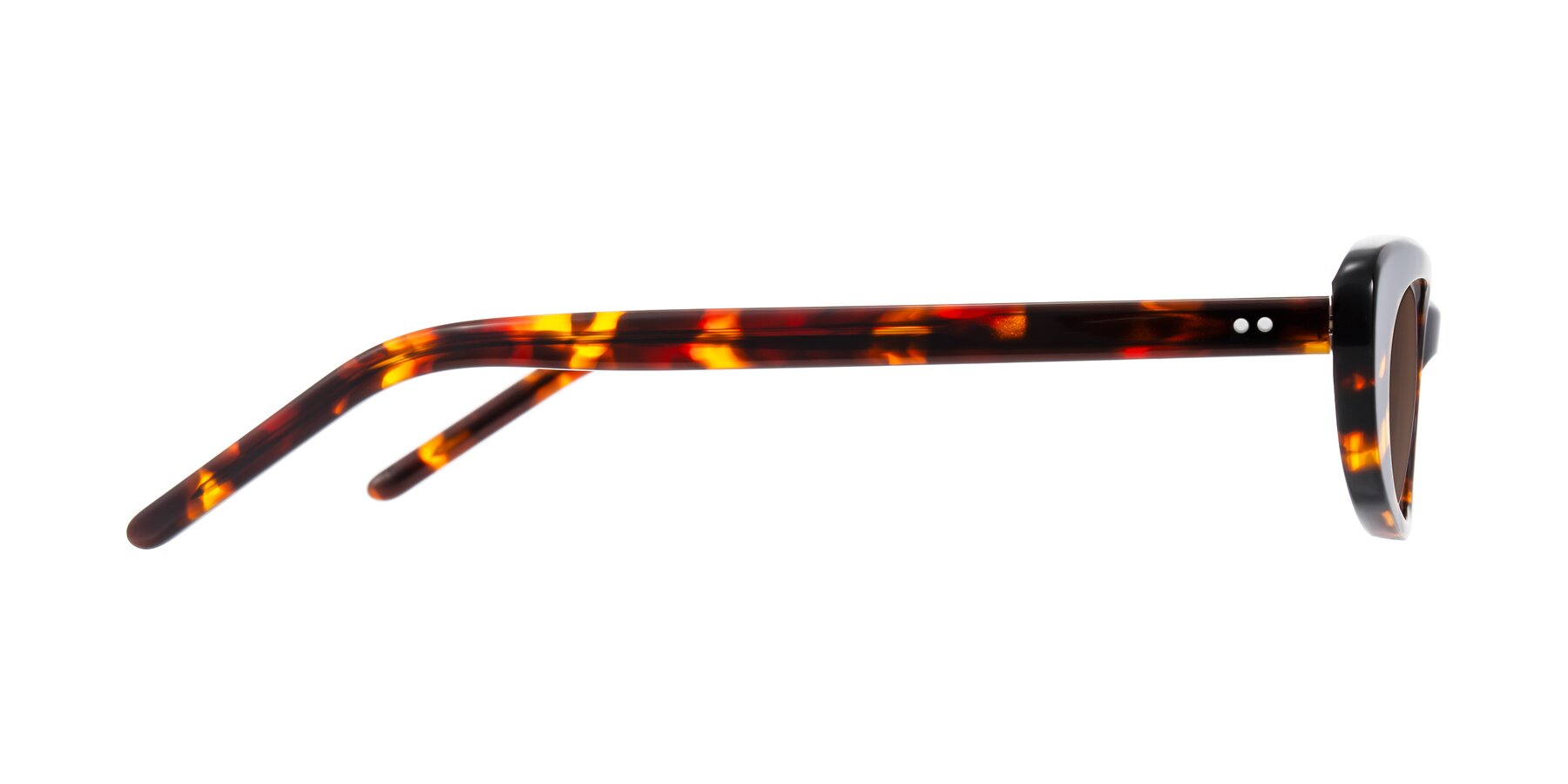 Side of Enzio in Tortoise with Brown Tinted Lenses