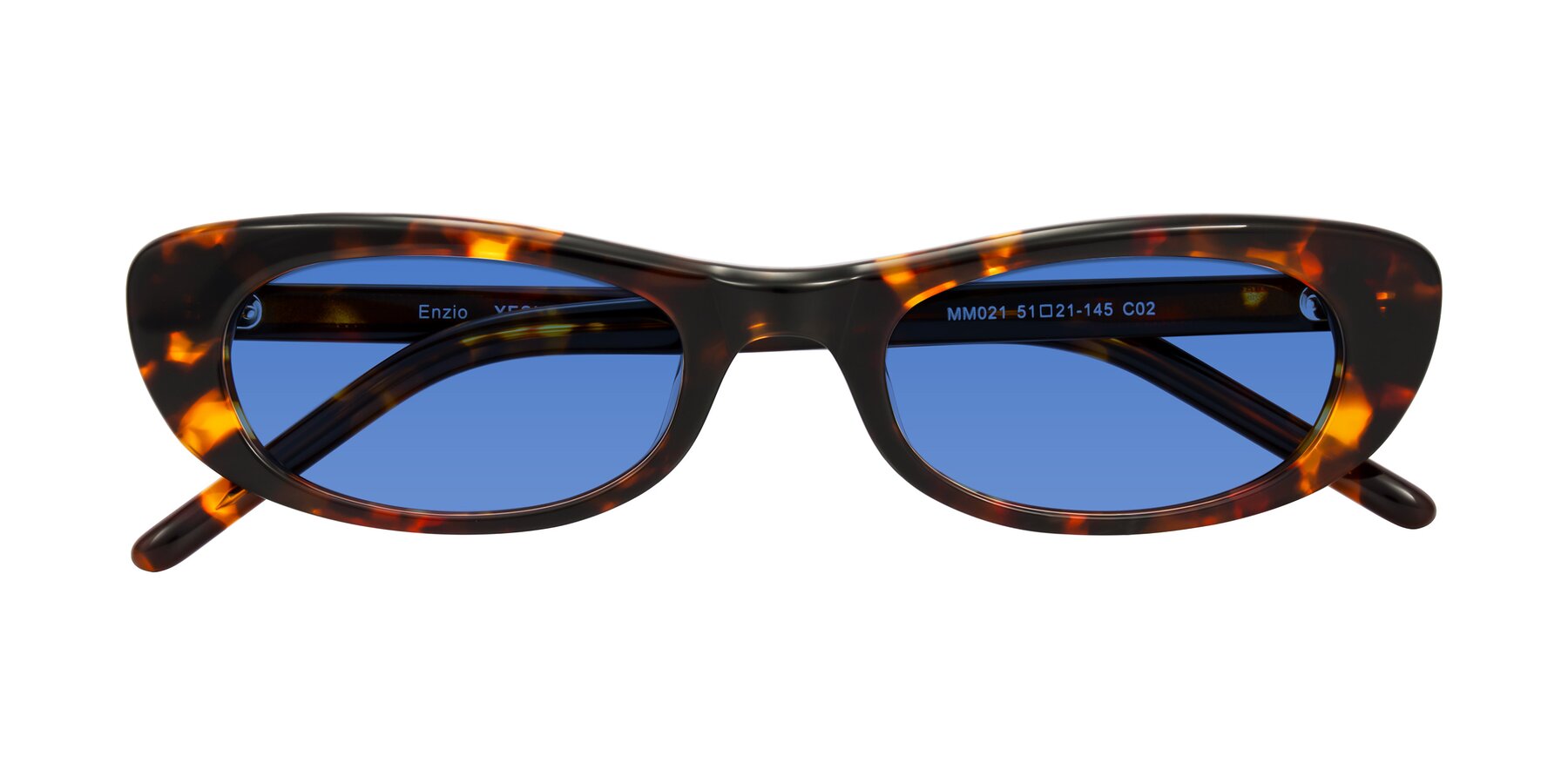 Folded Front of Enzio in Tortoise with Blue Tinted Lenses