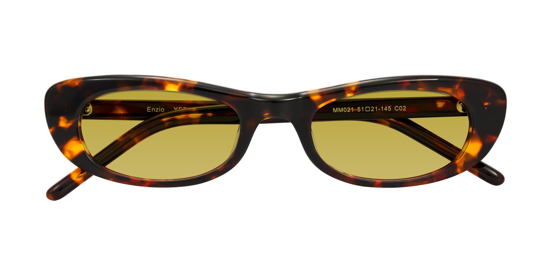 Folded Front of Enzio in Tortoise with Champagne Tinted Lenses