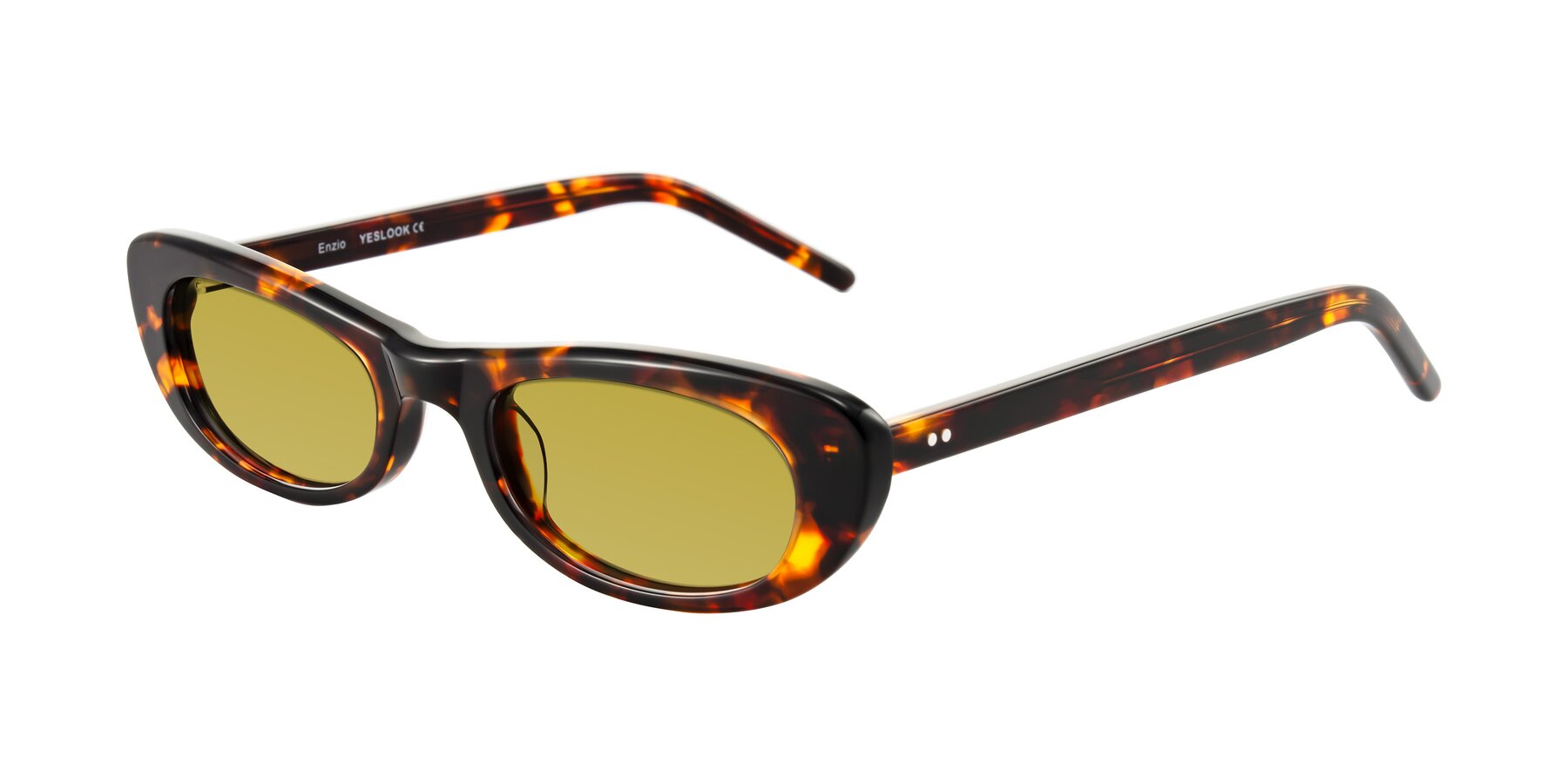 Angle of Enzio in Tortoise with Champagne Tinted Lenses