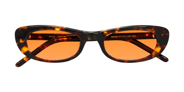 Front of Enzio in Tortoise
