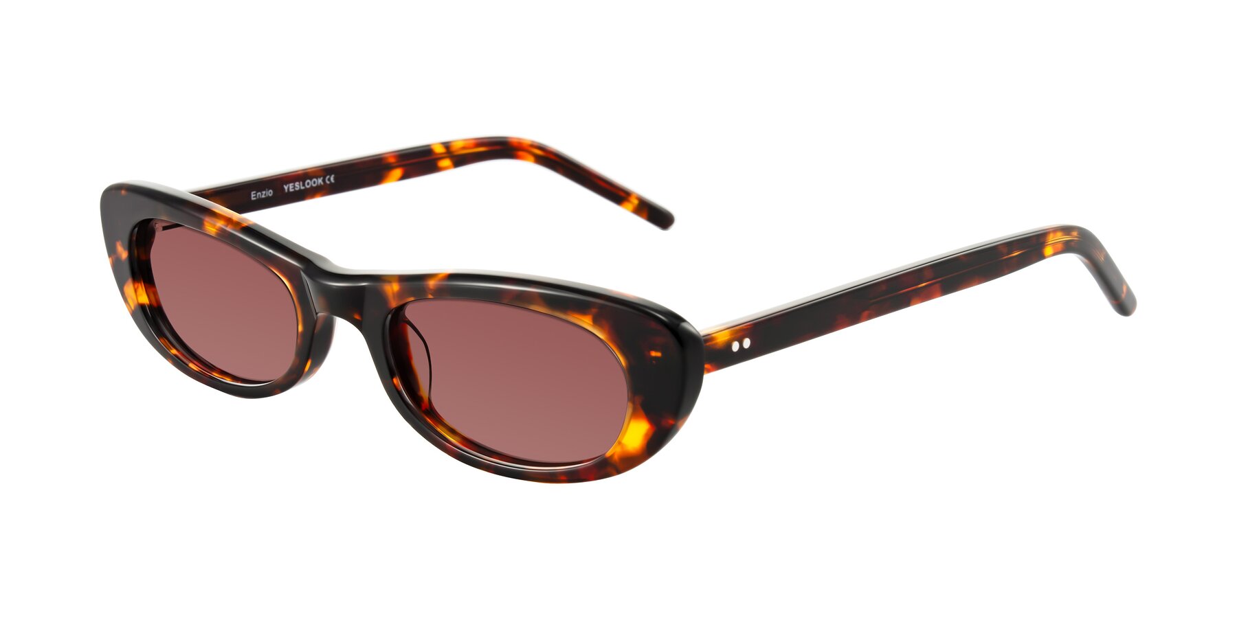 Angle of Enzio in Tortoise with Garnet Tinted Lenses