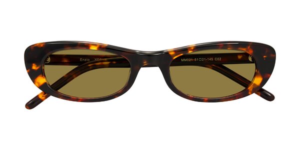 Front of Enzio in Tortoise