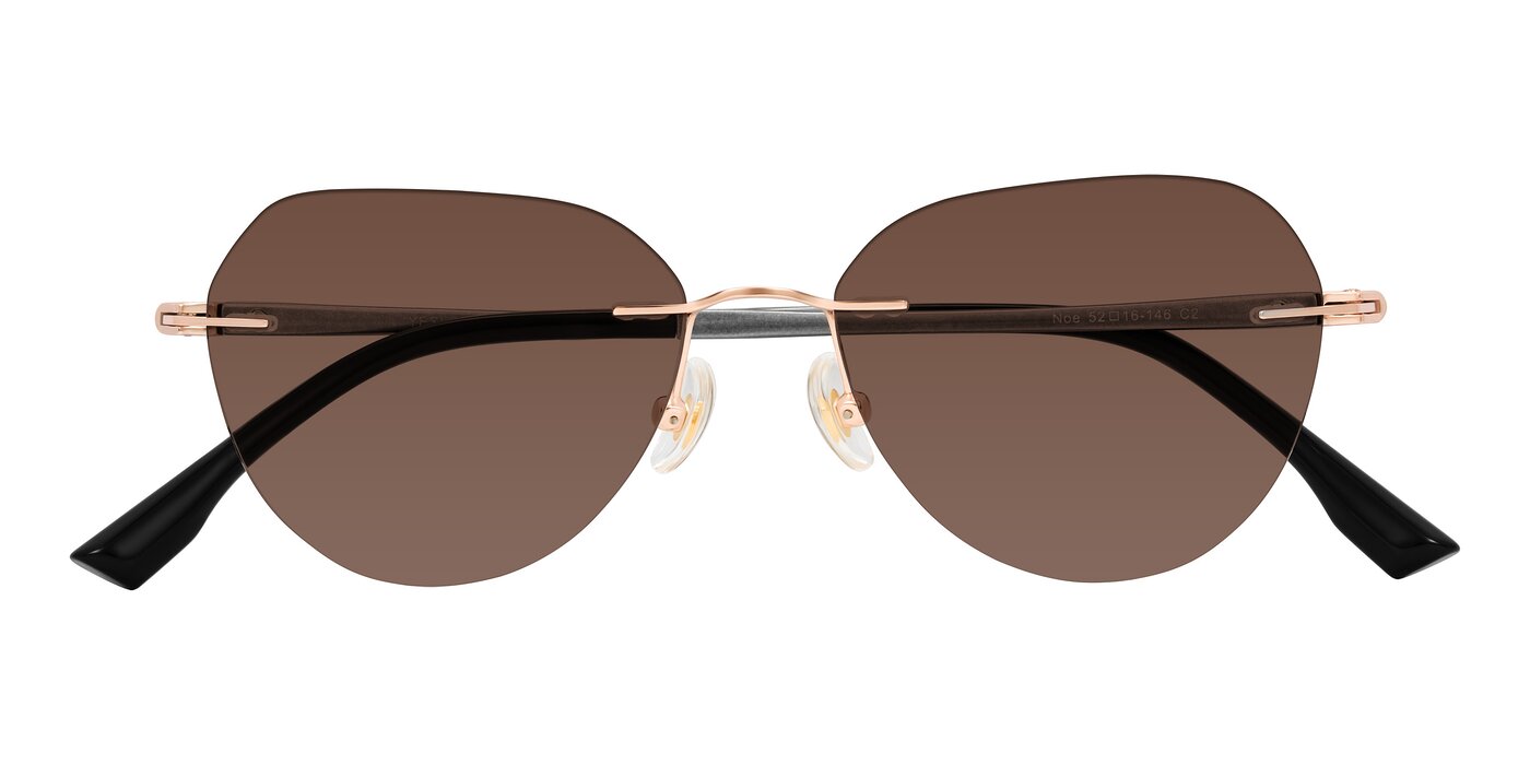 Noe - Rose Gold/Gray Tinted Sunglasses