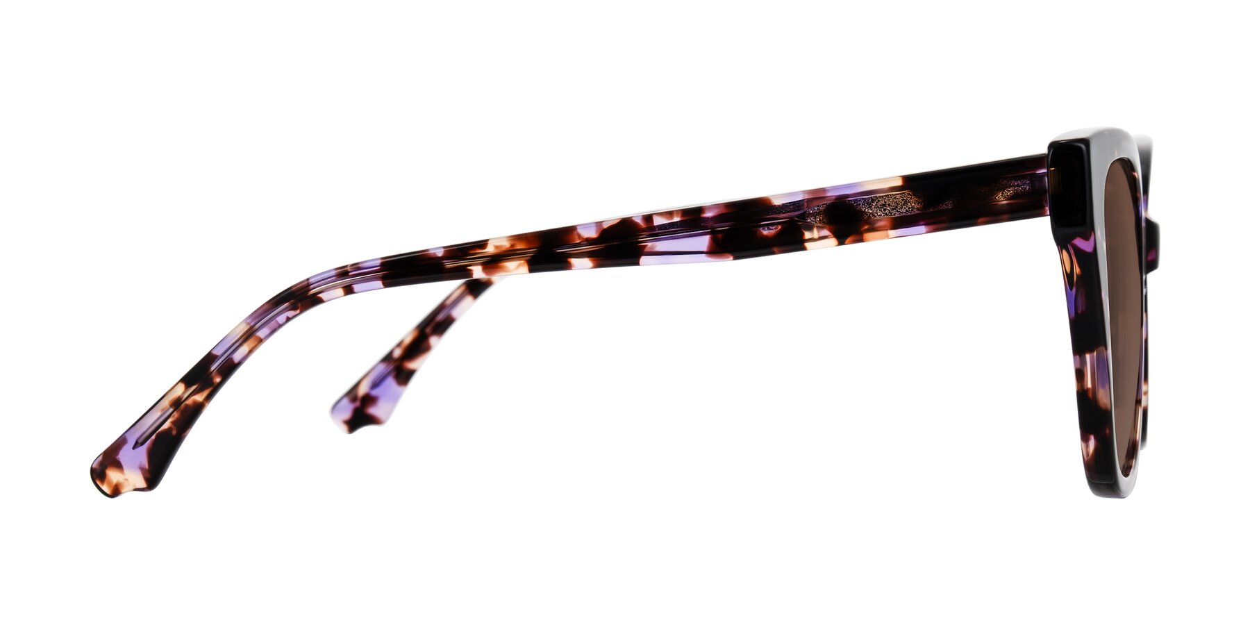 Side of Kahlem in Purple Tortoise with Brown Tinted Lenses