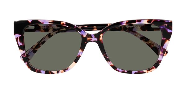 Front of Kahlem in Purple Tortoise