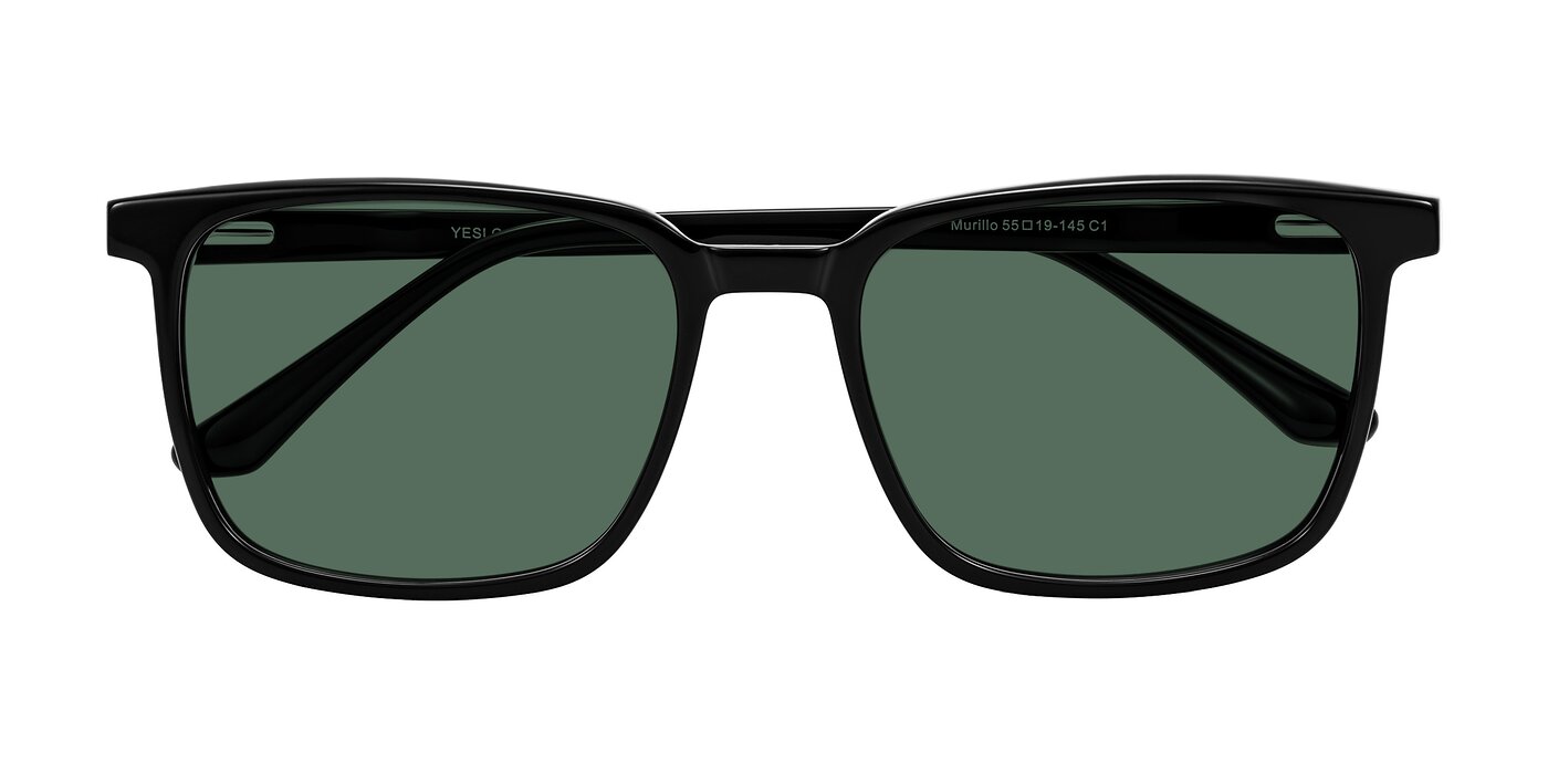 Murillo - Black Polarized Sunglasses