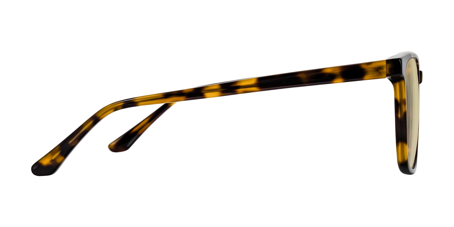 Side of Murillo in Tortoise with Light Champagne Tinted Lenses