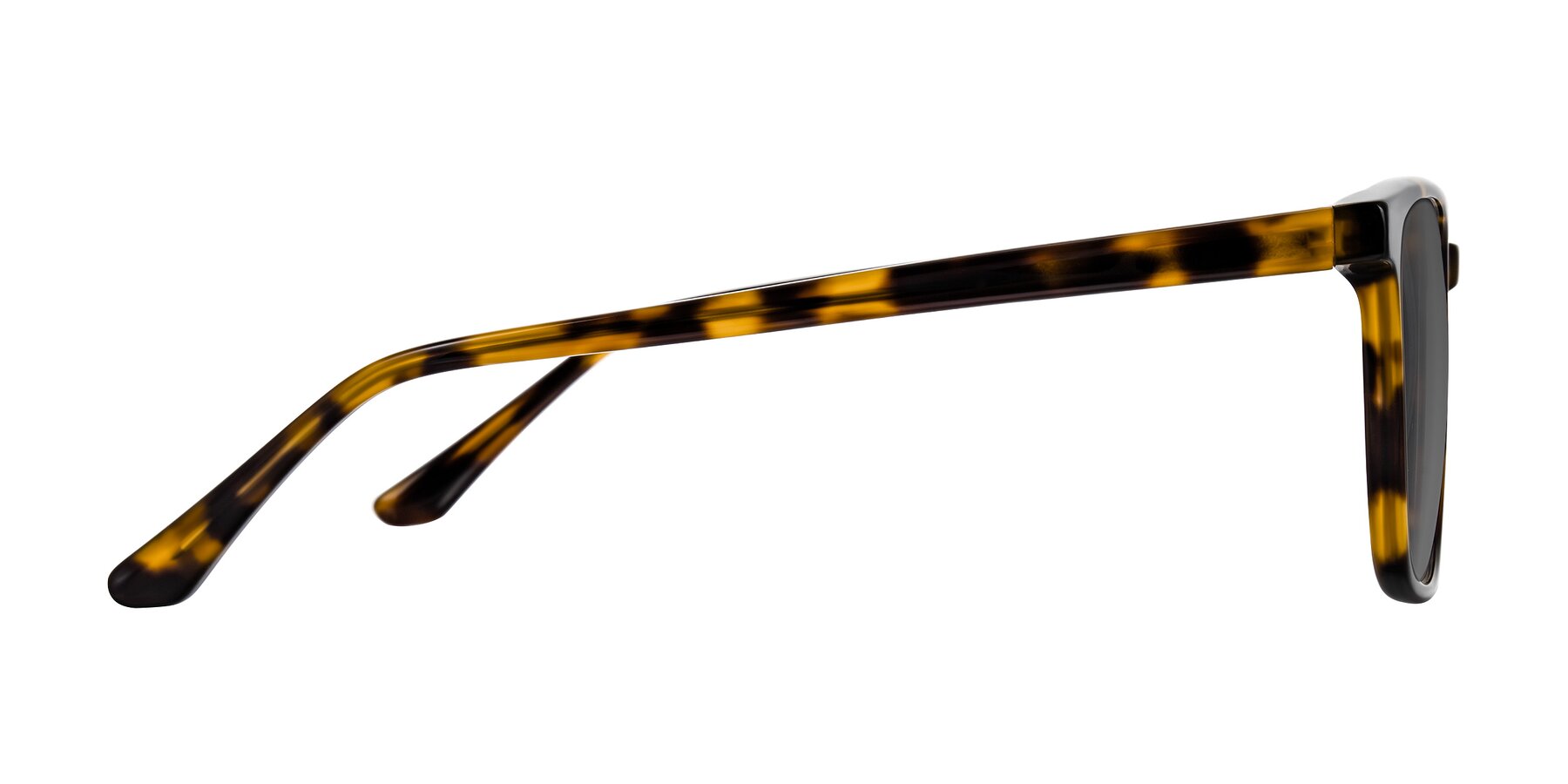 Side of Murillo in Tortoise with Medium Gray Tinted Lenses