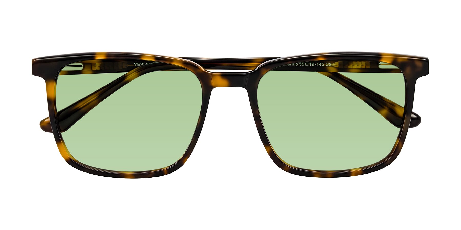 Folded Front of Murillo in Tortoise with Medium Green Tinted Lenses