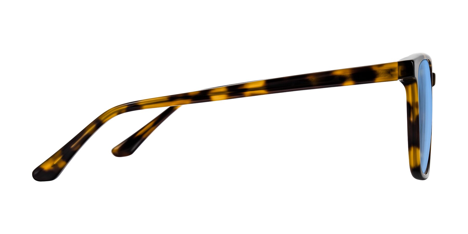 Side of Murillo in Tortoise with Medium Blue Tinted Lenses