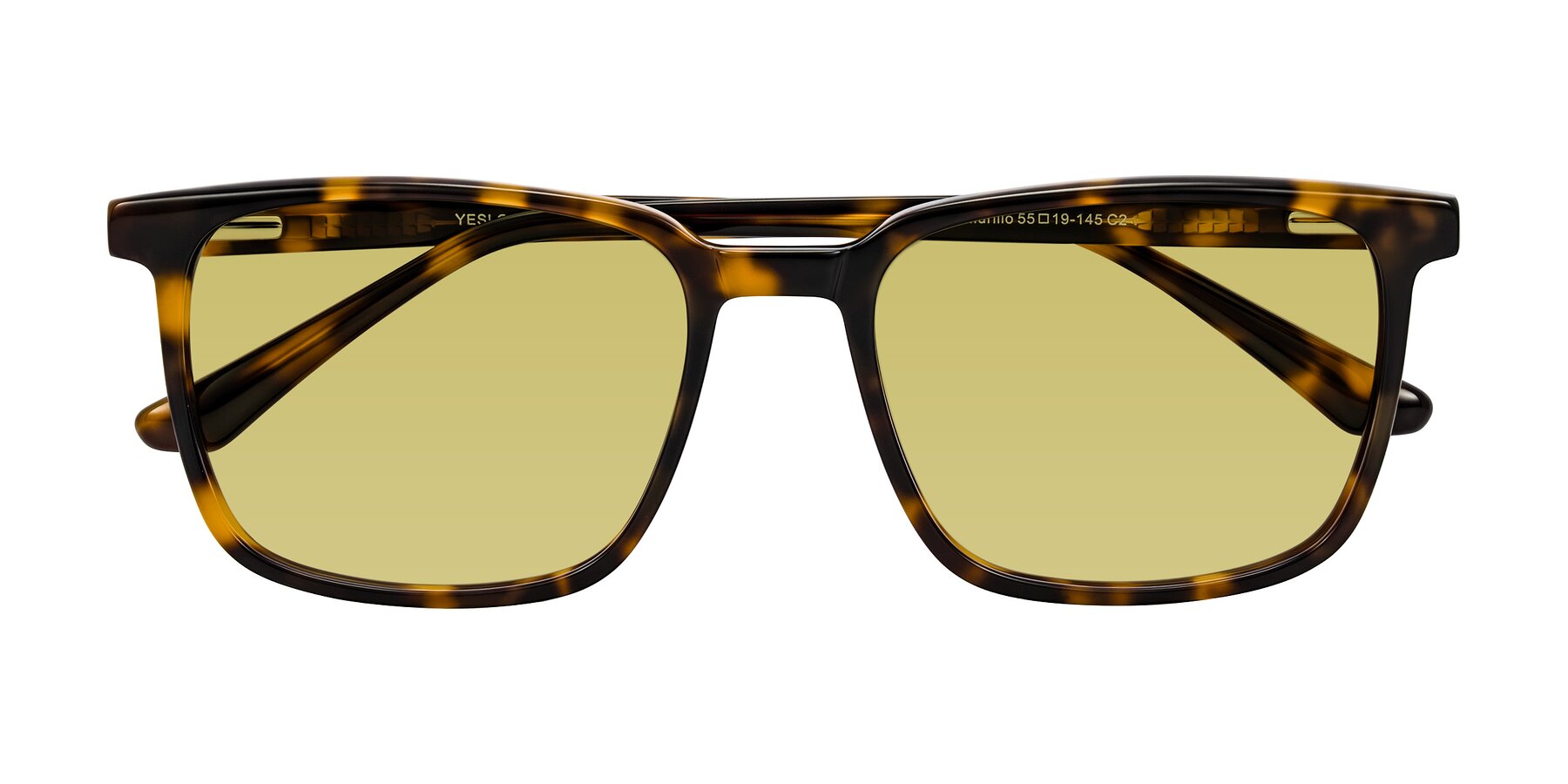 Folded Front of Murillo in Tortoise with Medium Champagne Tinted Lenses