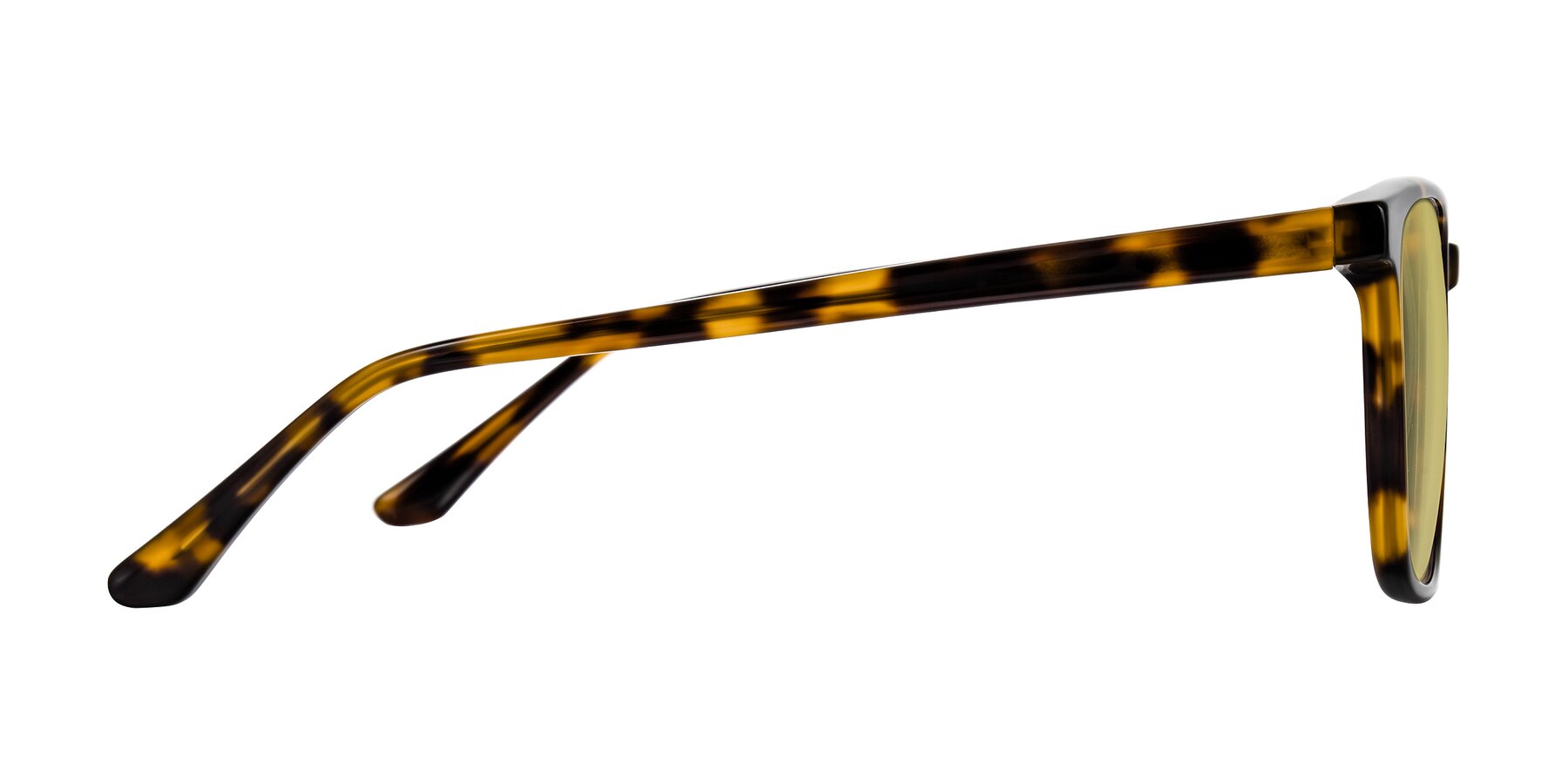 Side of Murillo in Tortoise with Medium Champagne Tinted Lenses