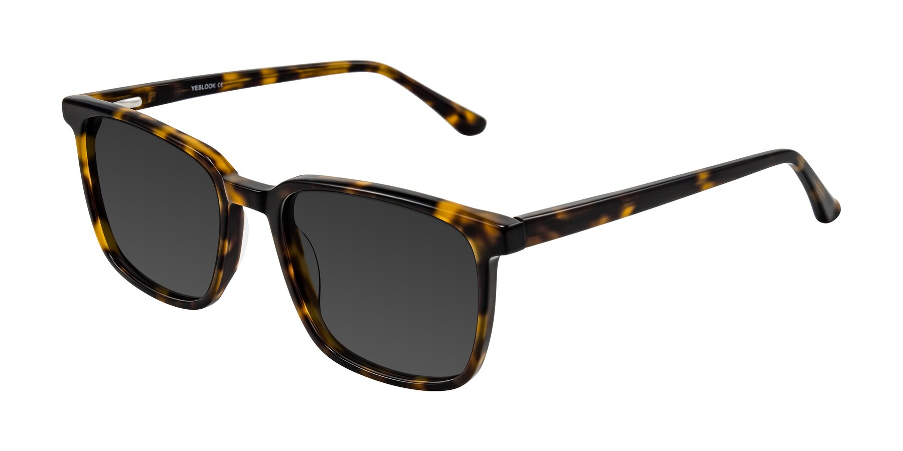 Angle of Murillo in Tortoise with Gray Tinted Lenses