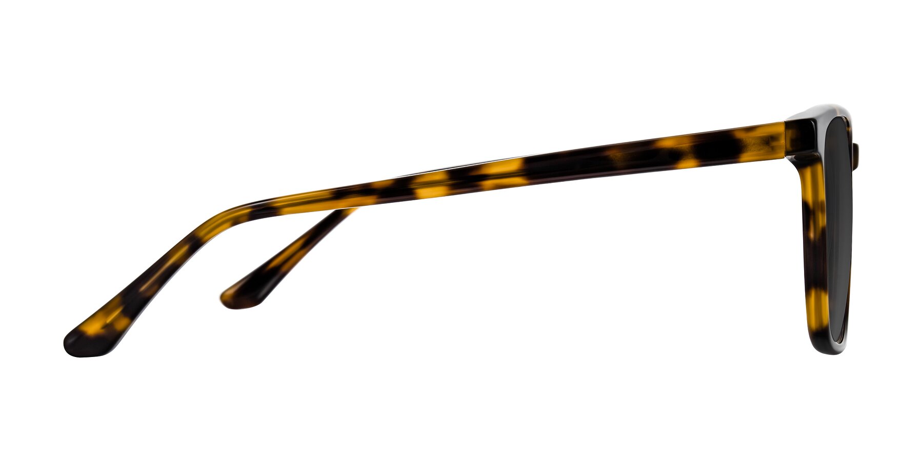 Side of Murillo in Tortoise with Gray Tinted Lenses