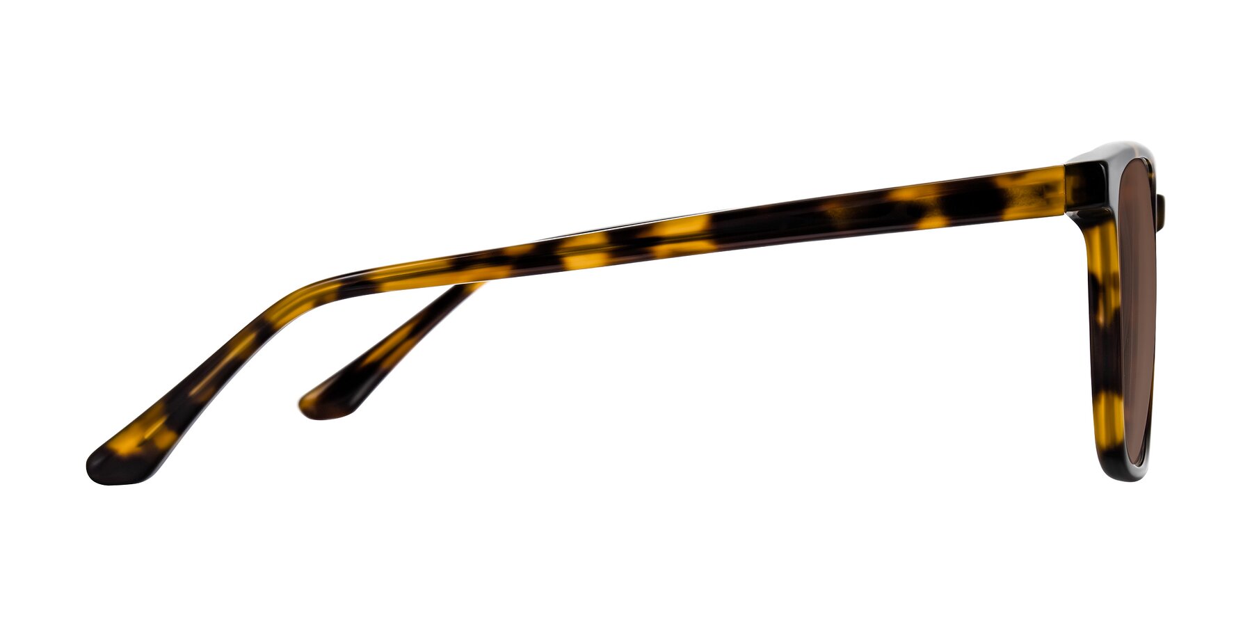 Side of Murillo in Tortoise with Brown Tinted Lenses