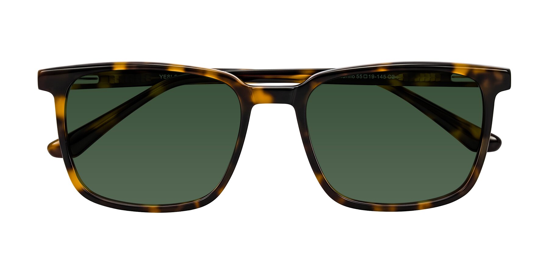 Folded Front of Murillo in Tortoise with Green Tinted Lenses