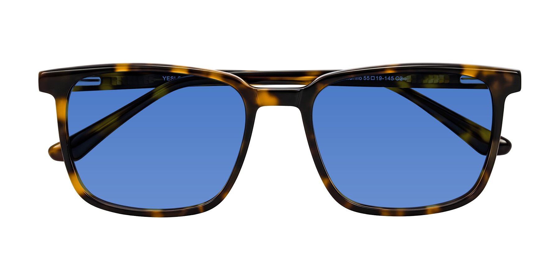 Folded Front of Murillo in Tortoise with Blue Tinted Lenses