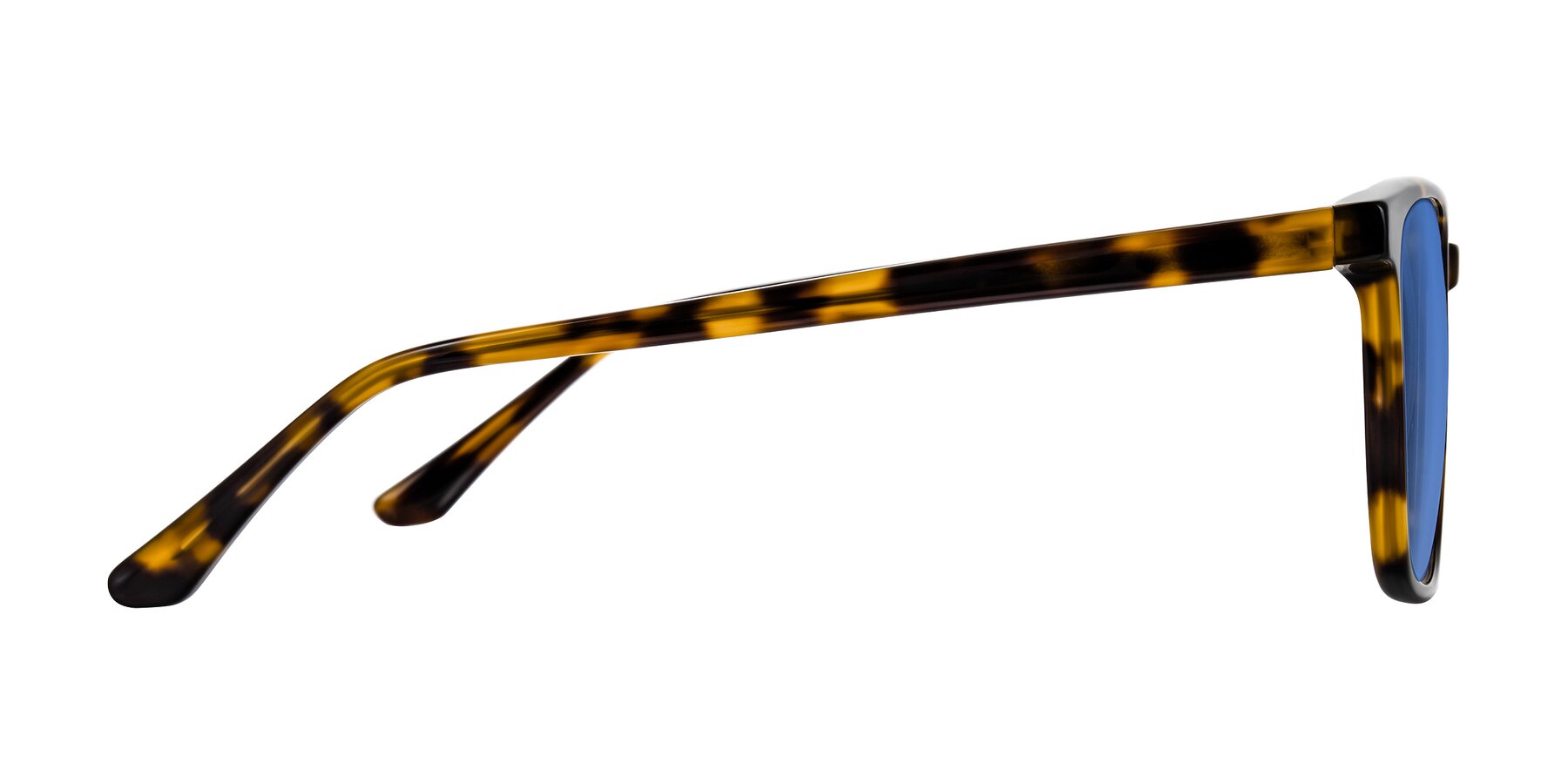 Side of Murillo in Tortoise with Blue Tinted Lenses