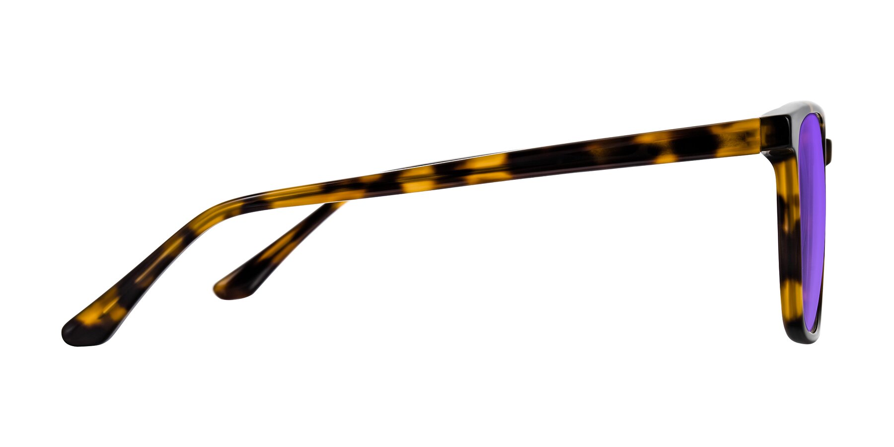 Side of Murillo in Tortoise with Purple Tinted Lenses
