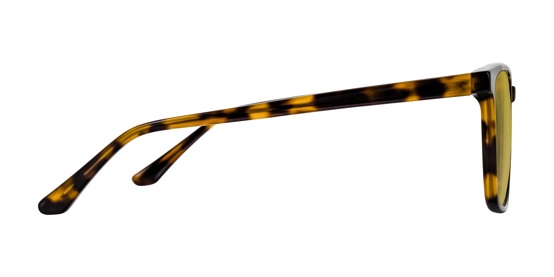 Side of Murillo in Tortoise with Champagne Tinted Lenses