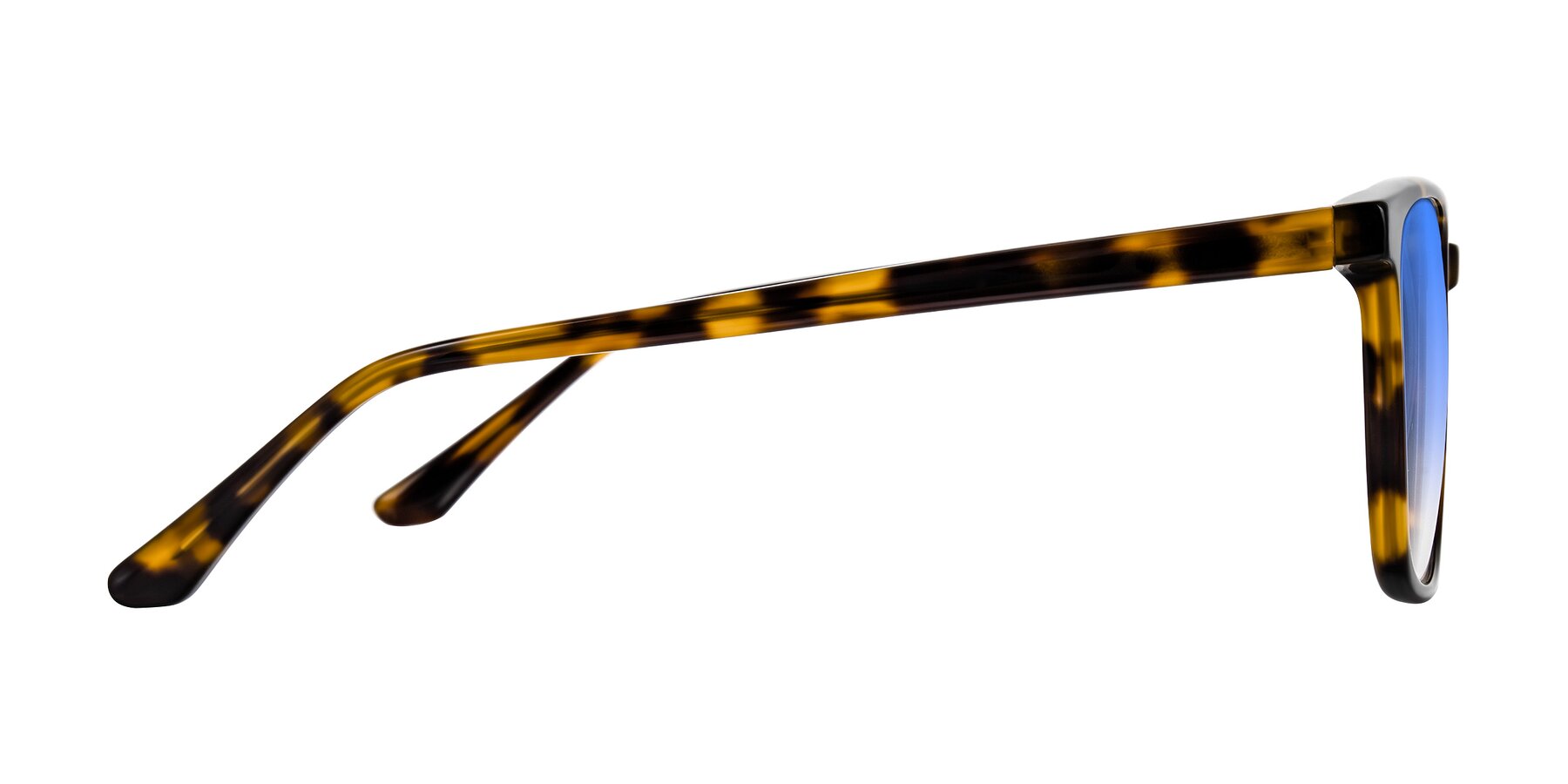Side of Murillo in Tortoise with Blue Gradient Lenses