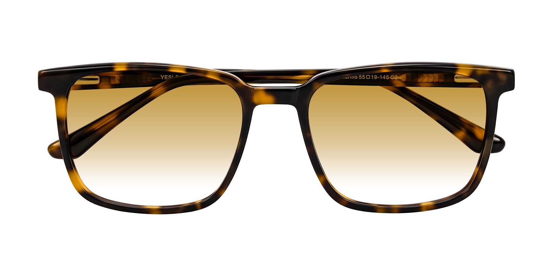 Folded Front of Murillo in Tortoise with Champagne Gradient Lenses