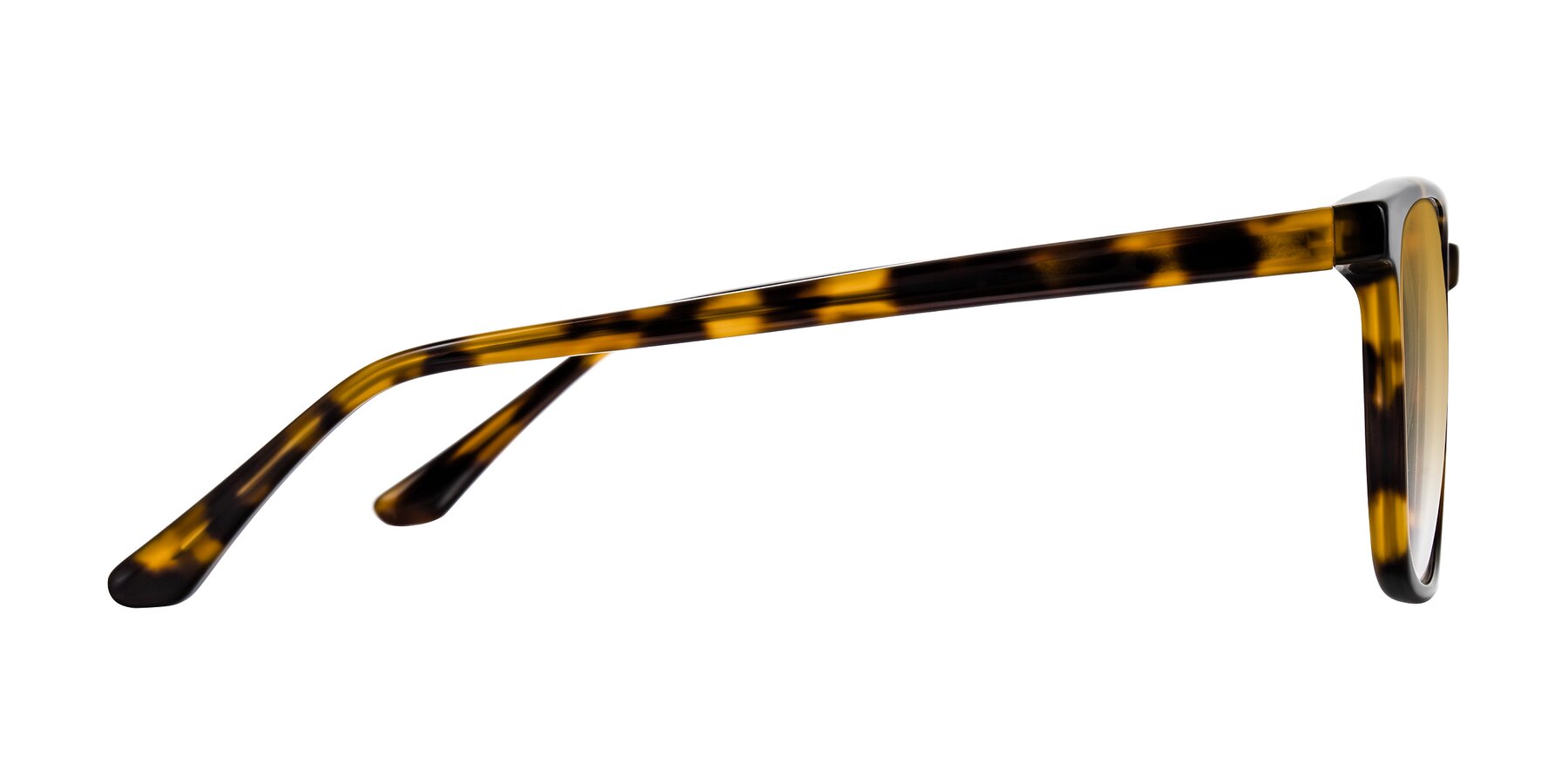 Side of Murillo in Tortoise with Champagne Gradient Lenses