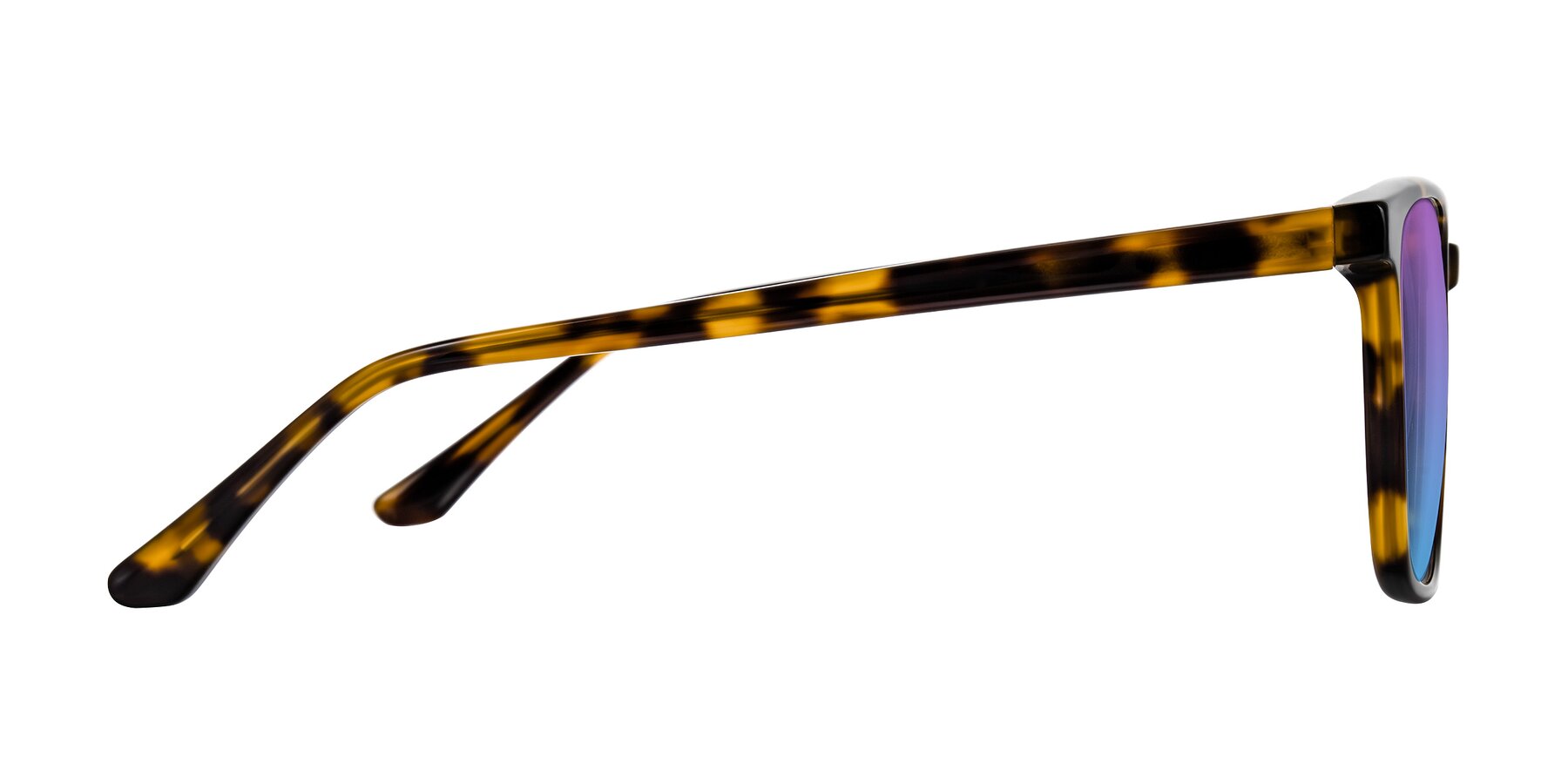 Side of Murillo in Tortoise with Purple / Blue Gradient Lenses