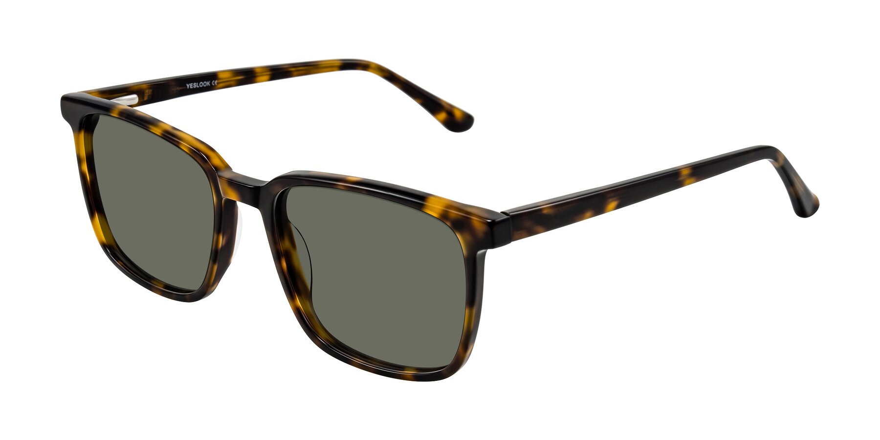 Angle of Murillo in Tortoise with Gray Polarized Lenses