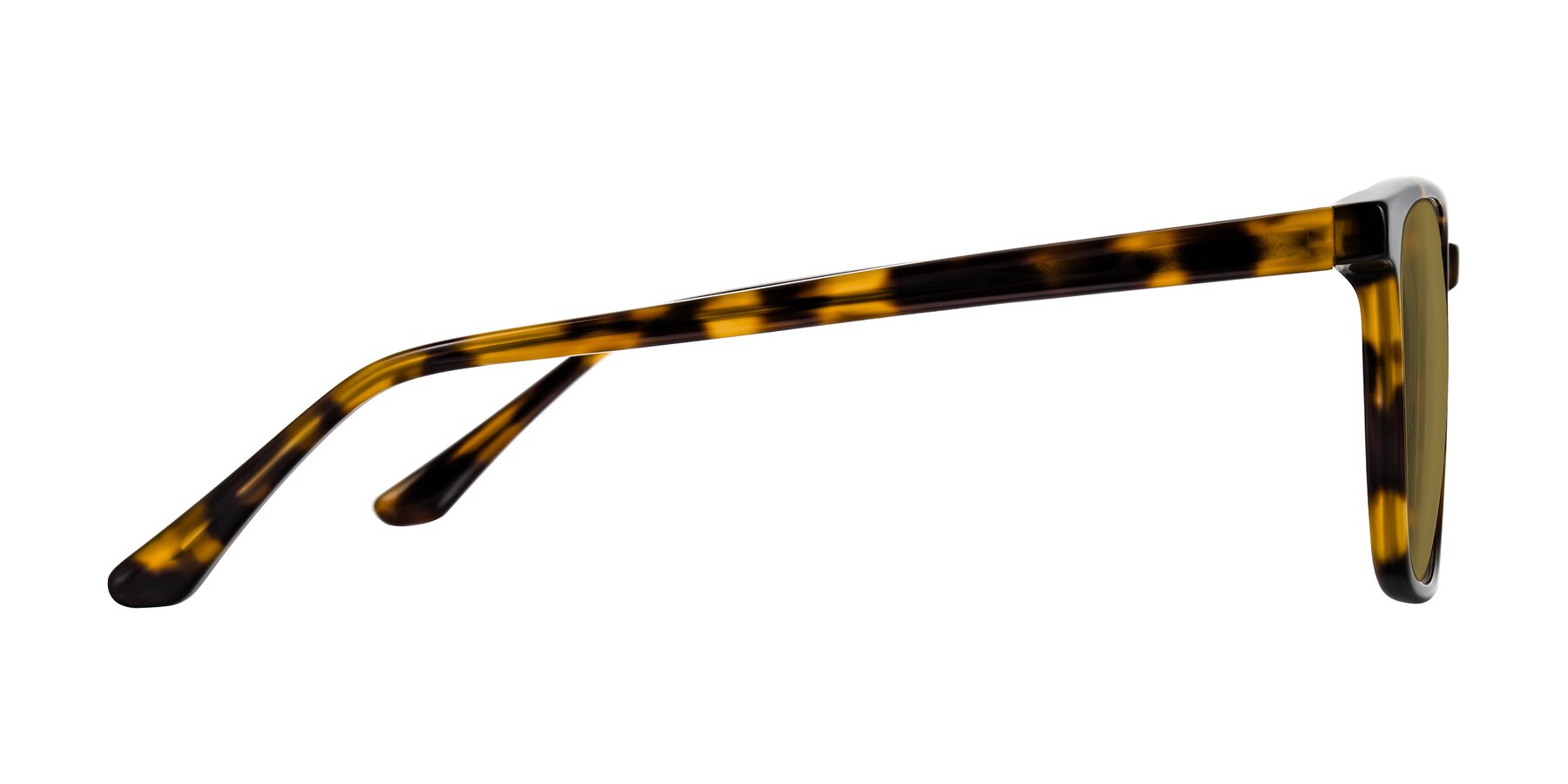 Side of Murillo in Tortoise with Brown Polarized Lenses
