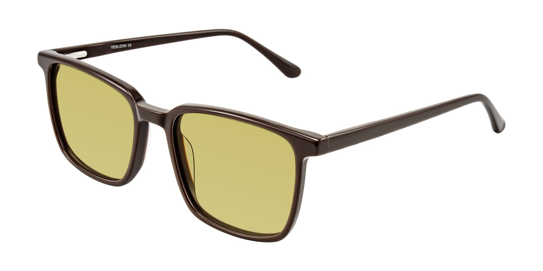 Angle of Murillo in Chocolate with Medium Champagne Tinted Lenses