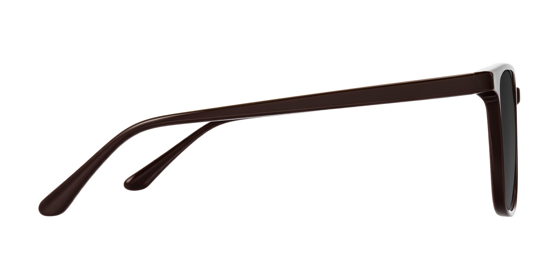 Side of Murillo in Chocolate with Gray Tinted Lenses