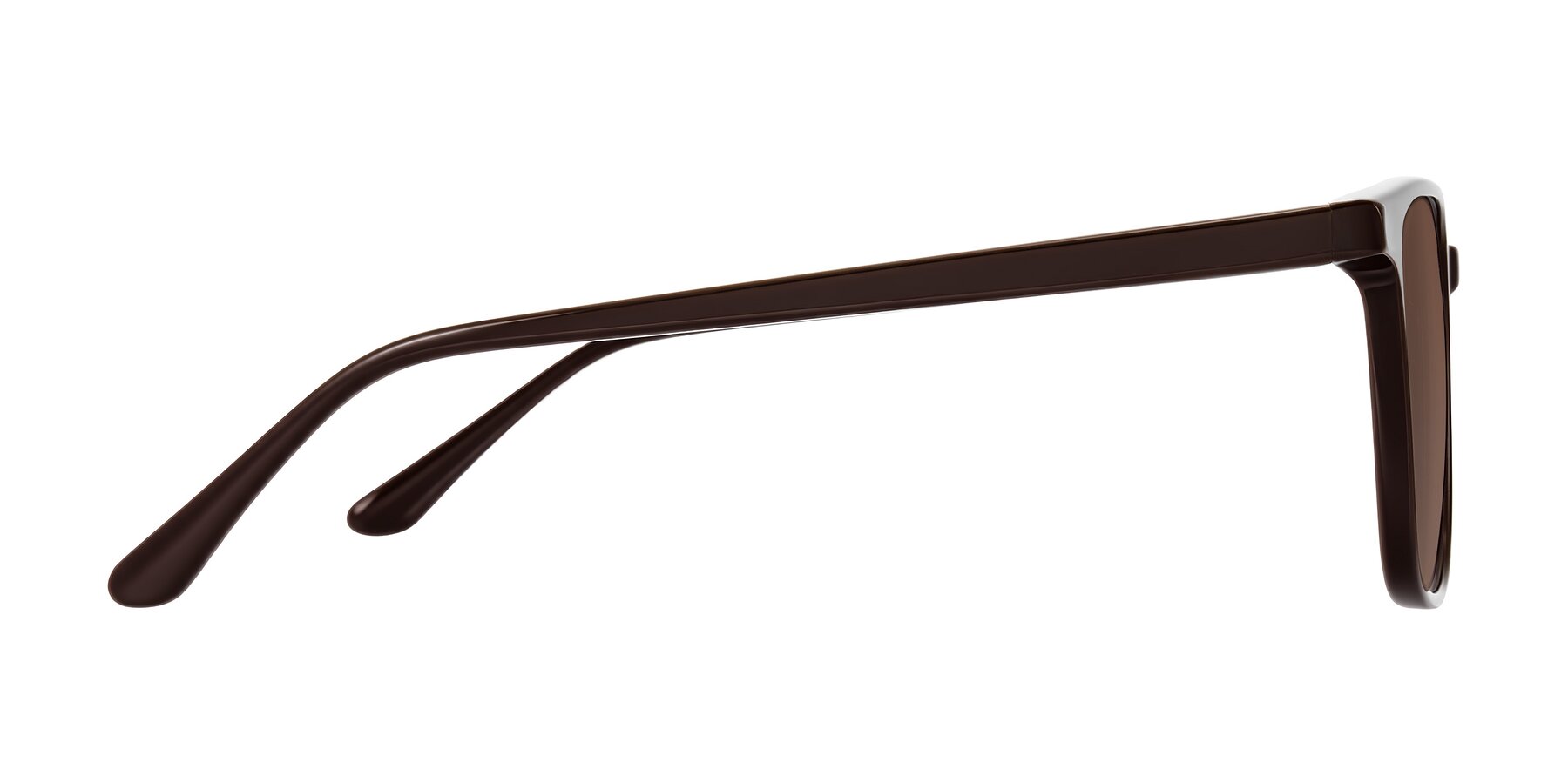 Side of Murillo in Chocolate with Brown Tinted Lenses