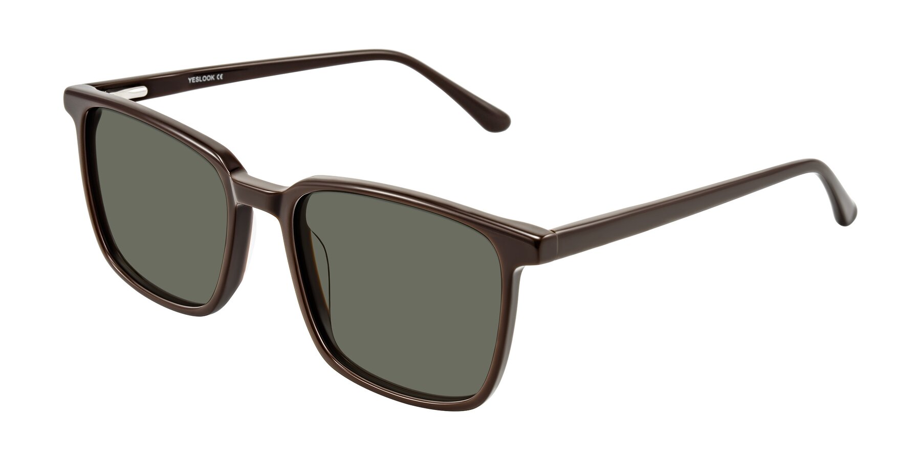 Angle of Murillo in Chocolate with Gray Polarized Lenses