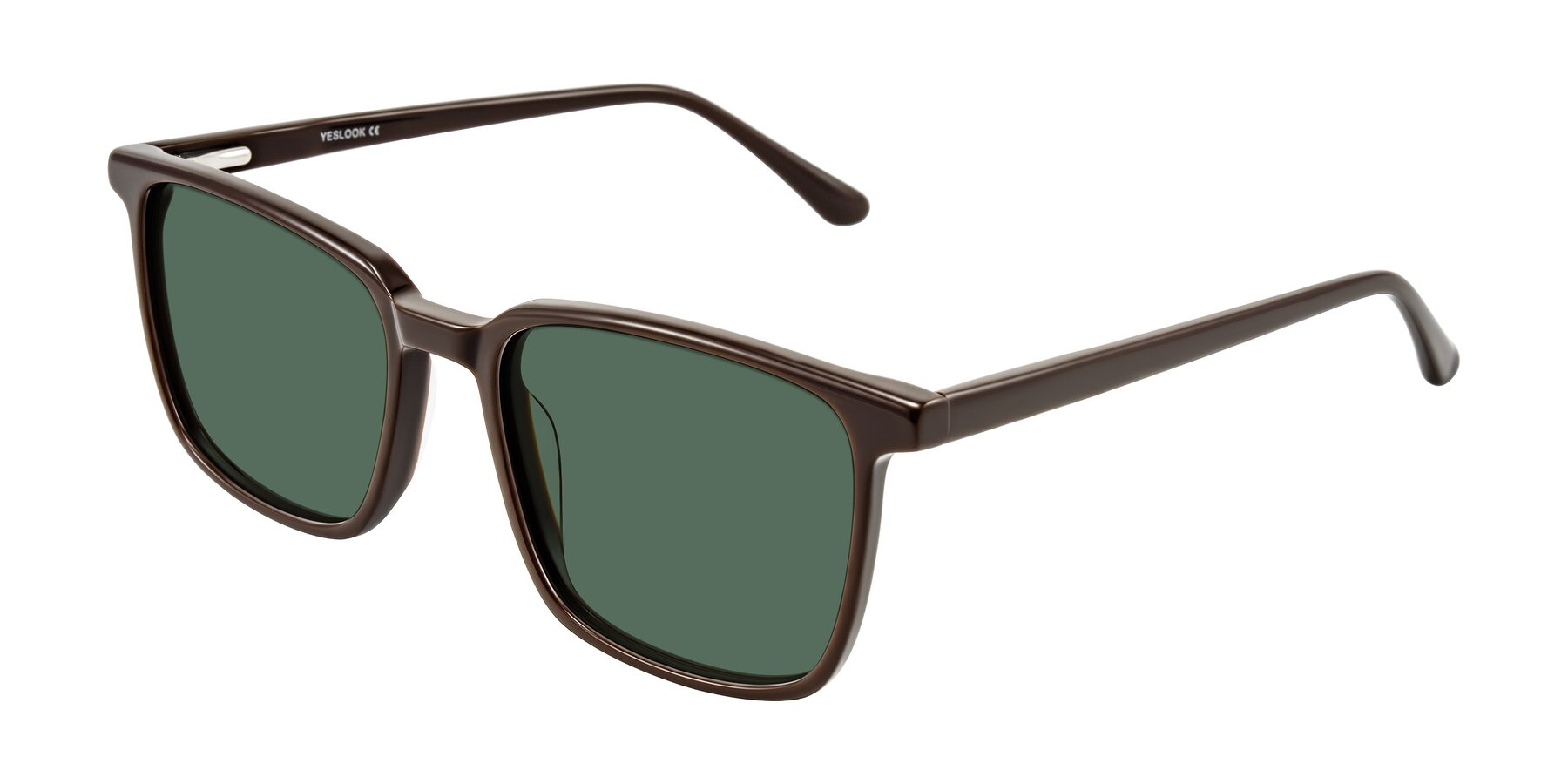 Angle of Murillo in Chocolate with Green Polarized Lenses