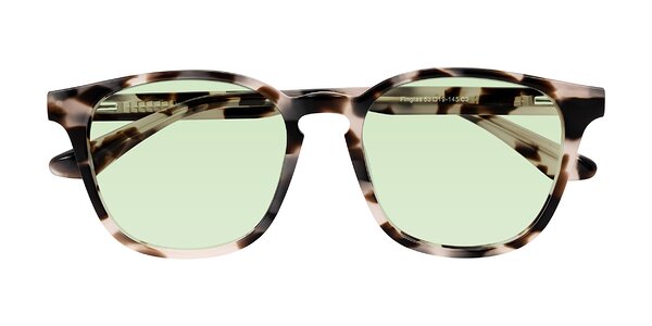 Front of Finglas in Ivory Tortoise