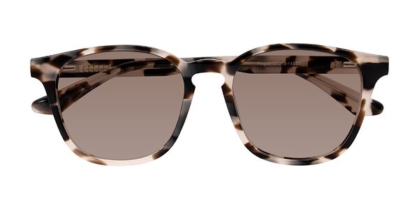 Front of Finglas in Ivory Tortoise