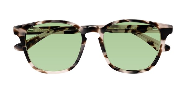 Front of Finglas in Ivory Tortoise