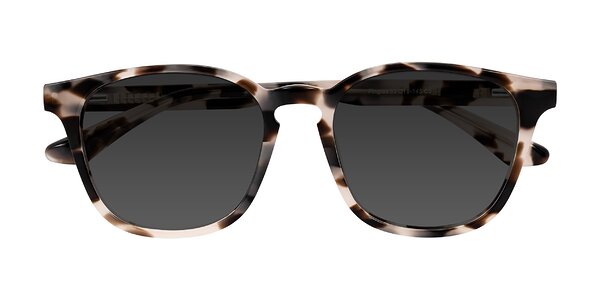 Front of Finglas in Ivory Tortoise