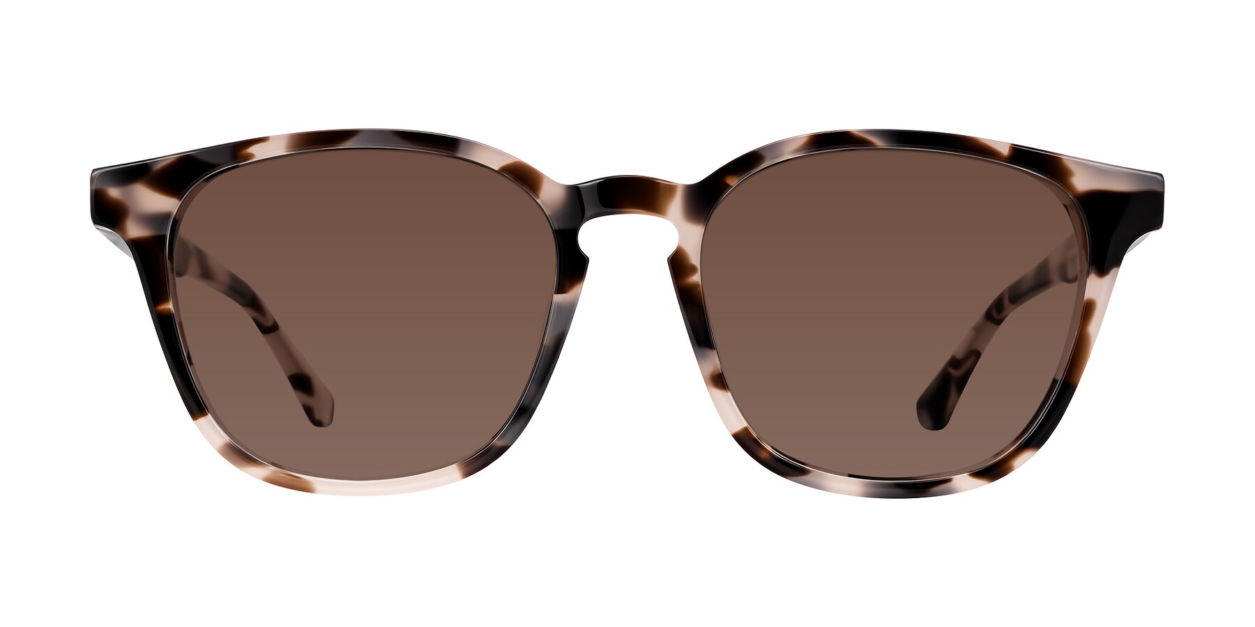 Finglas - Ivory Tortoise Sunglasses